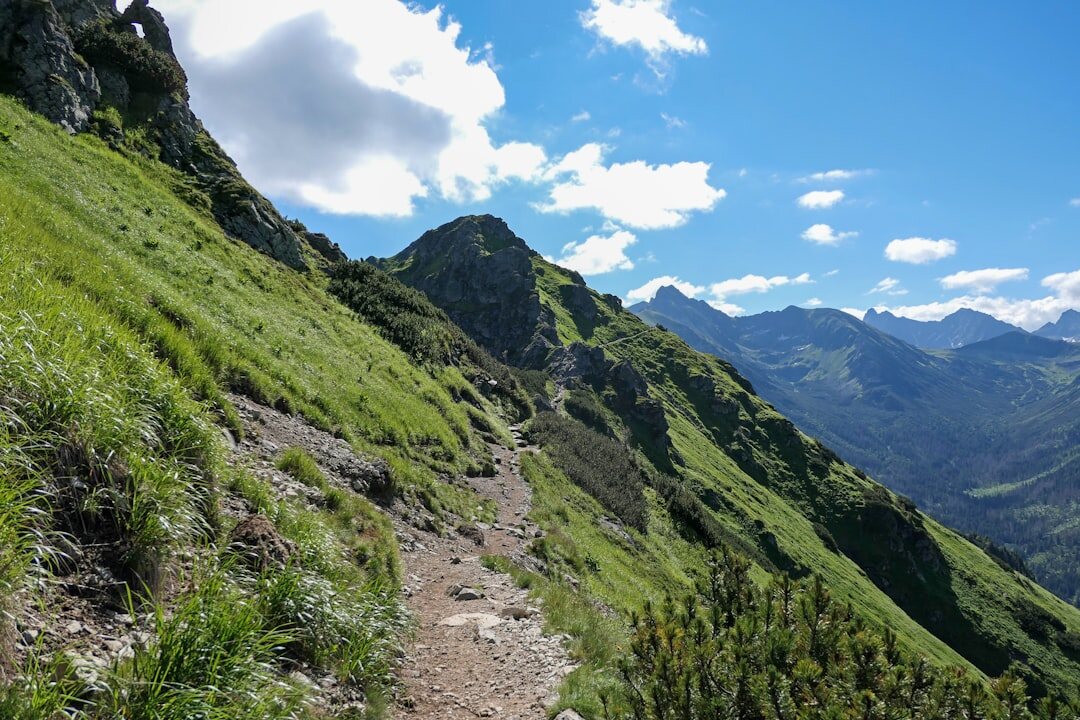 mountain hiking trail