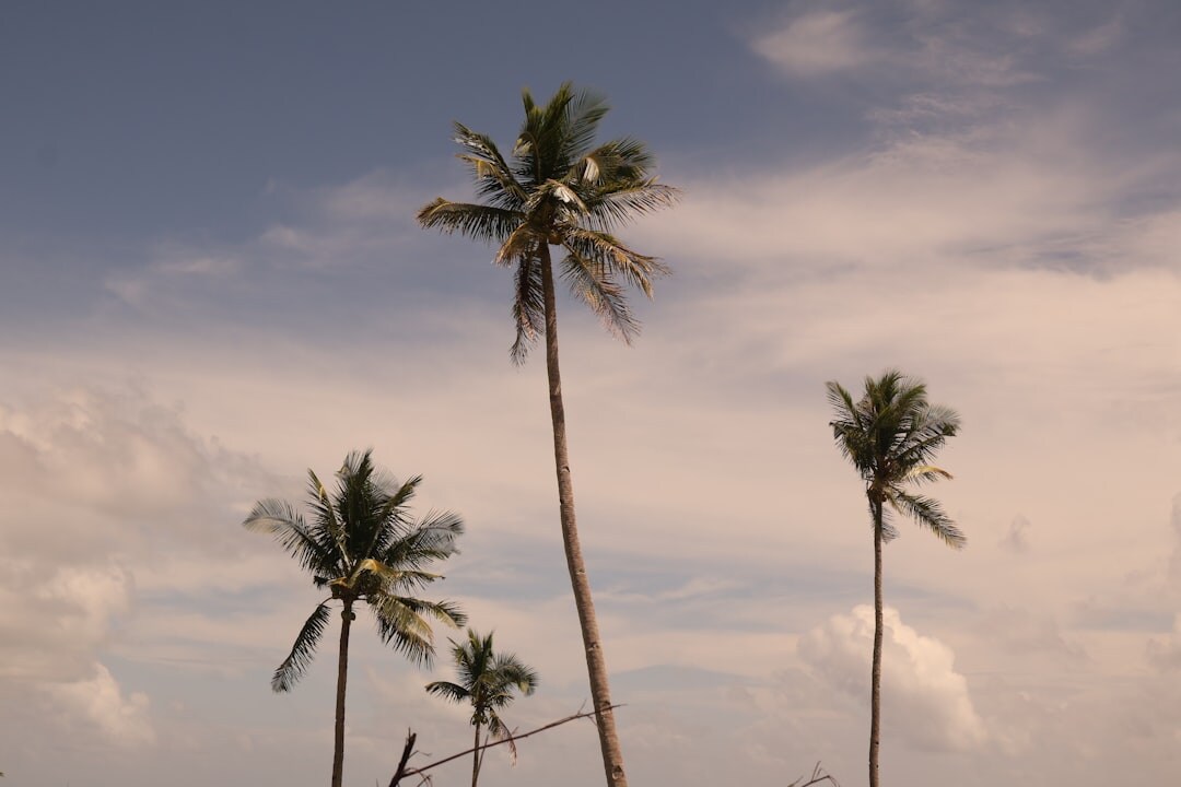 tropical island beach