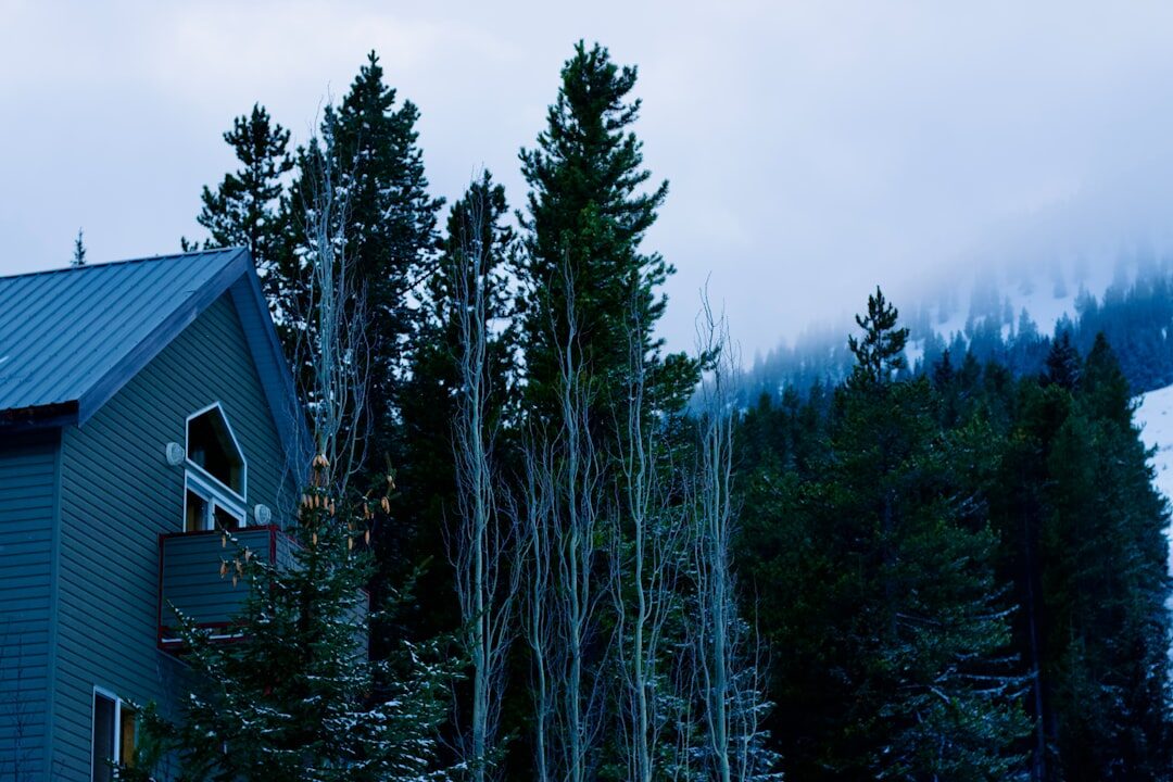 aspen mountain cabin
